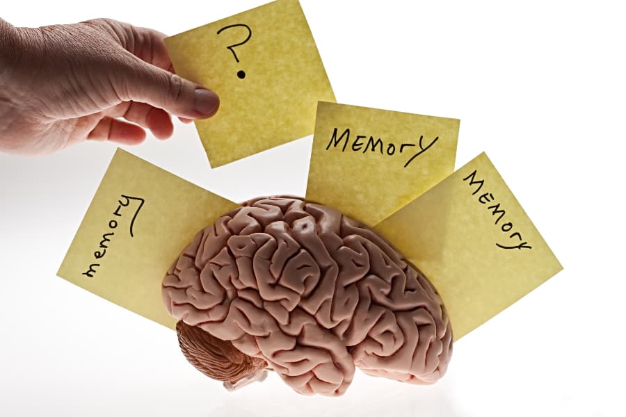 Conceptual image of a brain, memory notes and a hand removing one